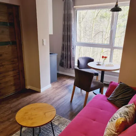 Apartament 30 Kozubnik Blisko Szczyrk- 5d